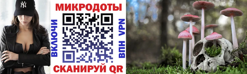 Псилоцибиновые грибы MAGIC MUSHROOMS  blacksprut ТОР  Власиха 